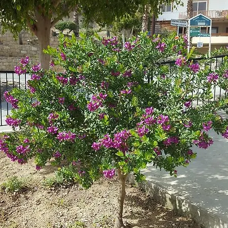 Lazaros Apartamento Pissouri