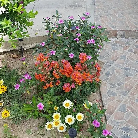 Lazaros Apartamento Pissouri