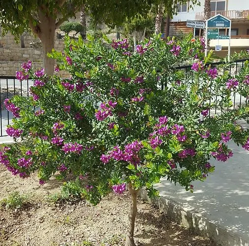 Lazaros Appartamento Pissouri