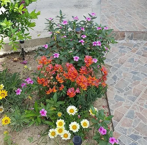 Lazaros Appartamento Pissouri